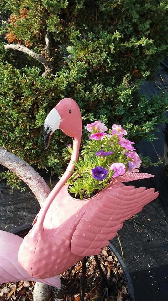 Woodland Trails Greenhouse Flamingo
